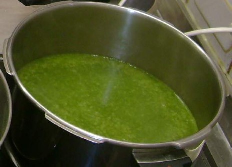 Bärlauchsuppe Bärlauchsuppe