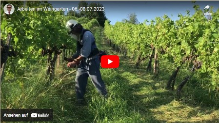 Weingarten Grünarbeit Ausmähen Mulchen